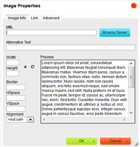 Insert Image Properties Diaglog Box