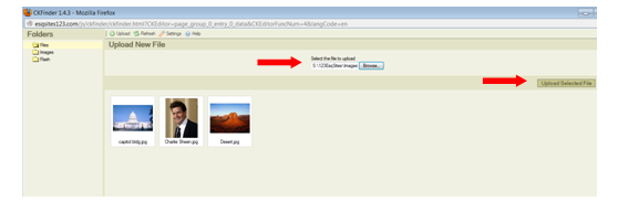 upload PDF file via browse